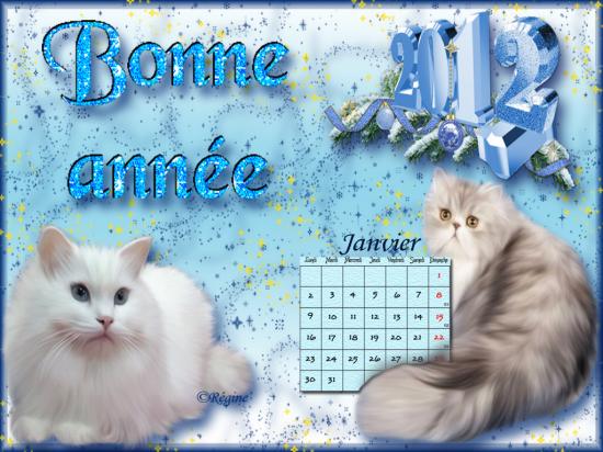 Nos amis les chats - Petit calendrier avec 12 belles photos de