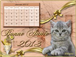 Calendrier Chats - Janvier 2013