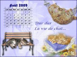 calendrier-aout-2009.jpg