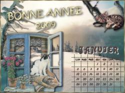 calendrier-janvier-2009.jpg