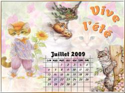 calendrier-juillet-2009.jpg
