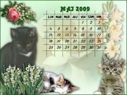 calendrier-mai-2009-1.jpg