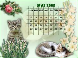 calendrier-mai-2009-2.jpg