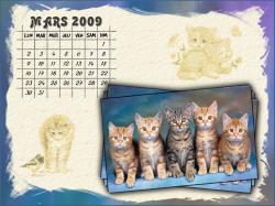 calendrier-mars-2009.jpg