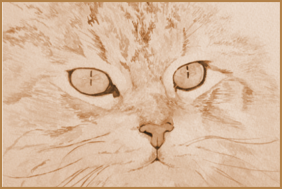 Dessin portrait du chat