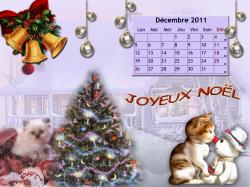 decembre-2011-1.jpg