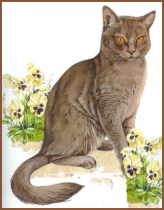 Le chartreux