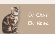 Le chat en vrac