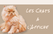 Les chats à l'affiche