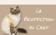 Protection du chat