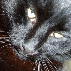 regard-25.jpg