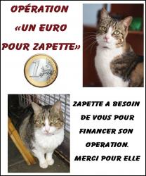 un-euro-pour-zapette-1.jpg