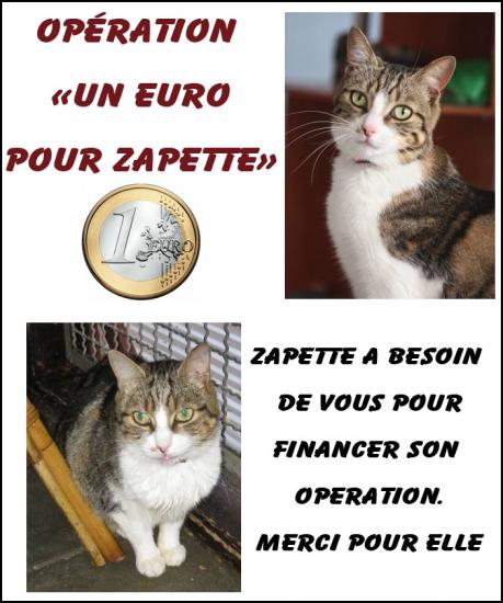 un-euro-pour-zapette-2.jpg